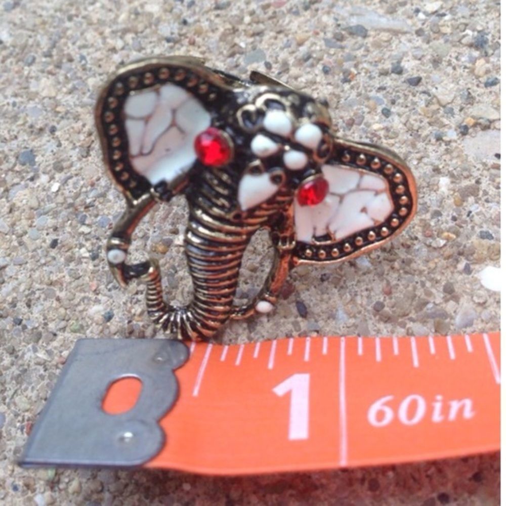 (C2) Elephant Ring - Picture 3 of 4